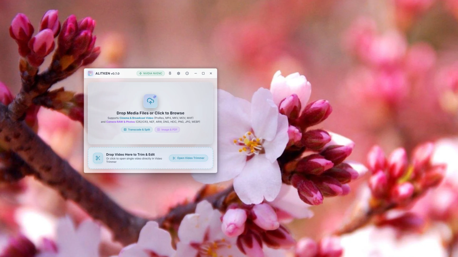 Alitken Transcode Queue and Batch Conversion interface